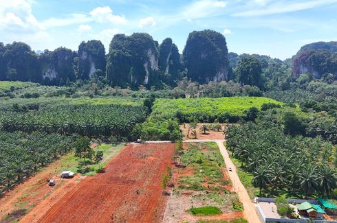 Land for sale in Sai Thai, Krabi