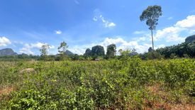 Land for sale in Sai Thai, Krabi