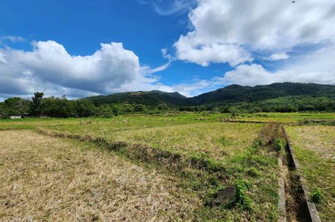 Land for sale in Lubo, Rizal