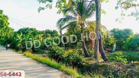 Land for sale in Makhun Wan, Chiang Mai