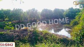 Land for sale in Makhun Wan, Chiang Mai