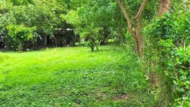 Land for sale in Mulawin, Cavite