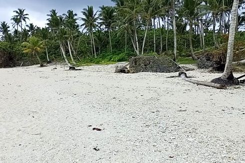 Land for sale in Mahayahay, Surigao del Norte