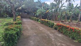 Land for sale in Nazareth, Aklan