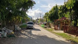 Land for sale in Pusok, Cebu