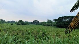 Land for sale in Malainen Bago, Cavite