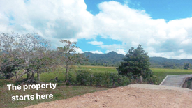 Land for sale in New Agutaya, Palawan