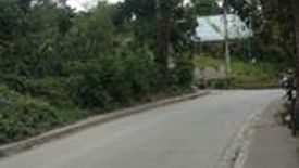 Land for sale in Pulangbato, Cebu