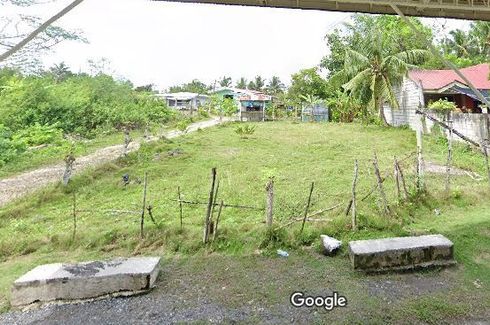 Land for sale in Montana, Bohol