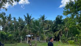 Land for sale in Laya, Bohol
