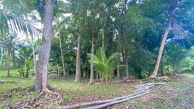 Land for sale in Laya, Bohol