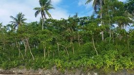 Land for sale in Esperanza, Cebu