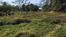 Land for sale in Wiang Tai, Mae Hong Son