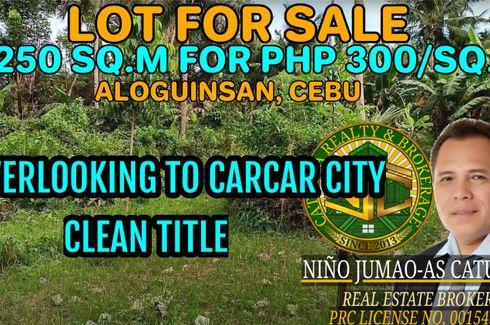 Land for sale in Olango, Cebu