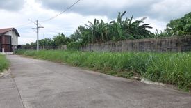 Land for sale in Willow Park Homes, Baclaran, Laguna