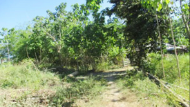 Land for sale in Lauren, Pangasinan