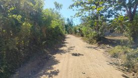 Land for sale in Balintawak, Bohol