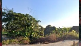 Land for sale in Ban Paen, Lamphun