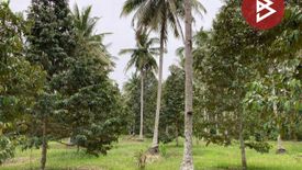 Land for sale in Na Kratam, Chumphon