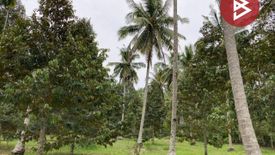 Land for sale in Na Kratam, Chumphon