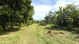 ขายที่ดิน ใน ท้ายเหมือง, ท้ายเหมือง