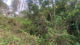 Land for sale in Sirao, Cebu