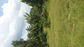 Land for sale in Pong, Chonburi