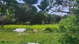 Land for sale in Tanqui, La Union