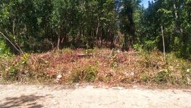 Land for sale in New Ibajay, Palawan
