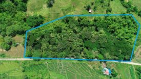 Land for sale in Mayabon, Negros Oriental