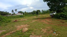 Land for sale in Lanao, Cebu