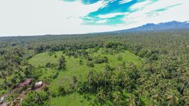 Land for sale in Tugbok, Davao del Sur