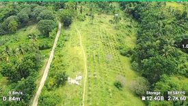 Land for sale in Cansomoroy, Cebu