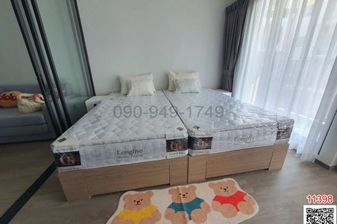 1 Bedroom Condo for rent in Salaya, Nakhon Pathom