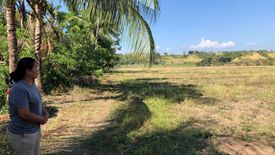 Land for sale in Maninihon, Negros Oriental