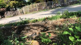 Land for sale in Maninihon, Negros Oriental