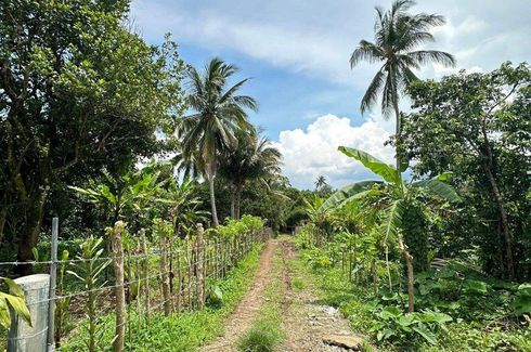 Land for sale in Sulsugin, Cavite