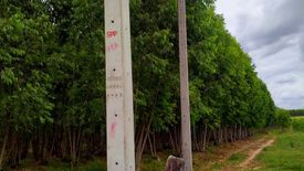 Land for sale in That Thong, Chonburi