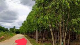 Land for sale in That Thong, Chonburi