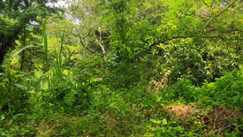 Land for sale in San Gregorio, Batangas