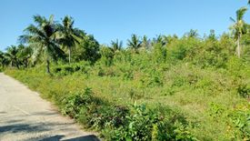Land for sale in Maricaban, Cebu