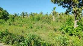 Land for sale in Maricaban, Cebu