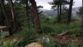 Land for sale in Baguio, Benguet