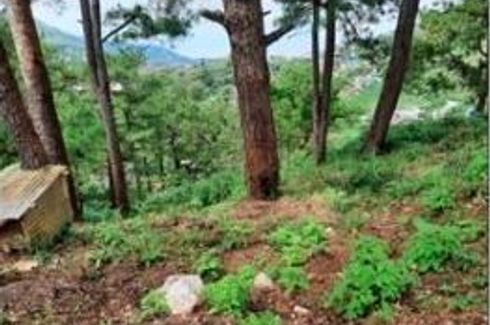 Land for sale in Baguio, Benguet