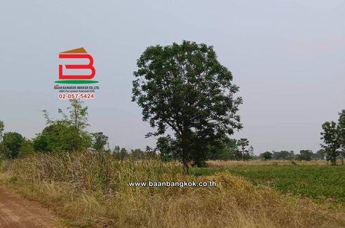 Land for sale in Mueang Phai, Buriram