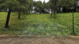 Land for sale in San Jose, Cavite