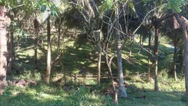 Land for sale in Maligaya, Batangas