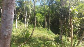 Land for sale in Maligaya, Batangas