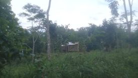 Land for sale in Miarayon, Bukidnon