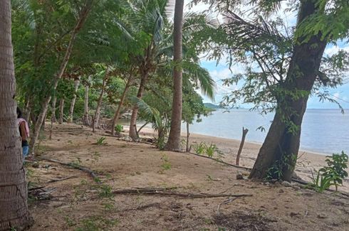 Land for sale in Cheey, Palawan